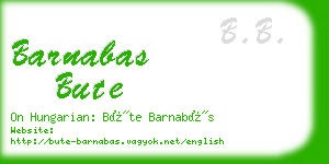 barnabas bute business card